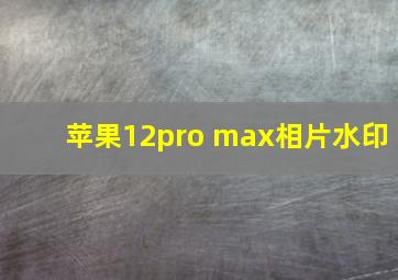 苹果12pro max相片水印